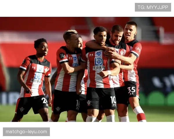 南安普顿新赛季展望：能否强势反弹，重返英超赛场？