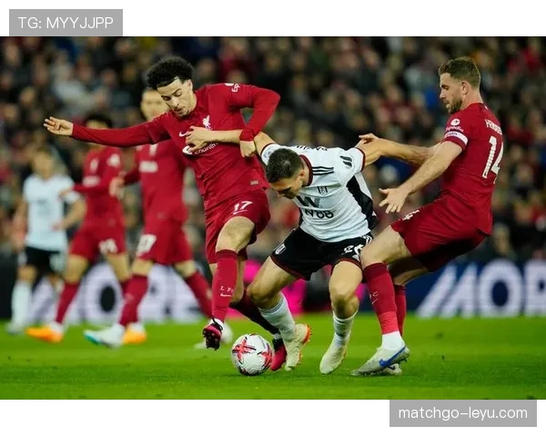 富勒姆赛季表现稳健，强势展现英超竞争力