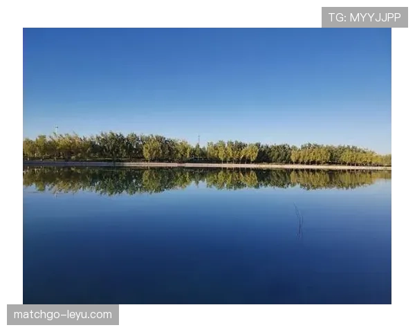 古力逛商场说“随便看看”，旁边的人都低头查余额了