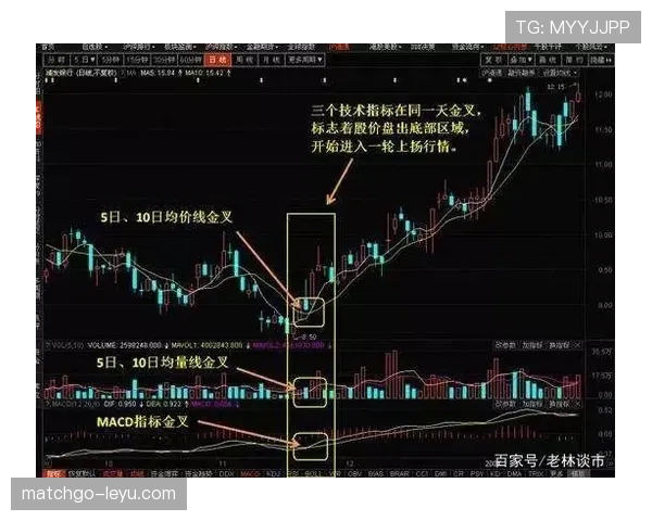 G组黑马机会与风险分析 G组黑马机会与风险分析